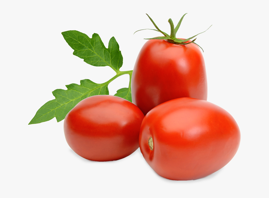 Tomatoes - Roma Variety